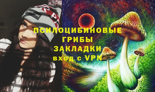 индика Бородино