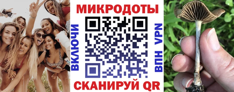 где найти наркотики  Северская  Псилоцибиновые грибы Cubensis 
